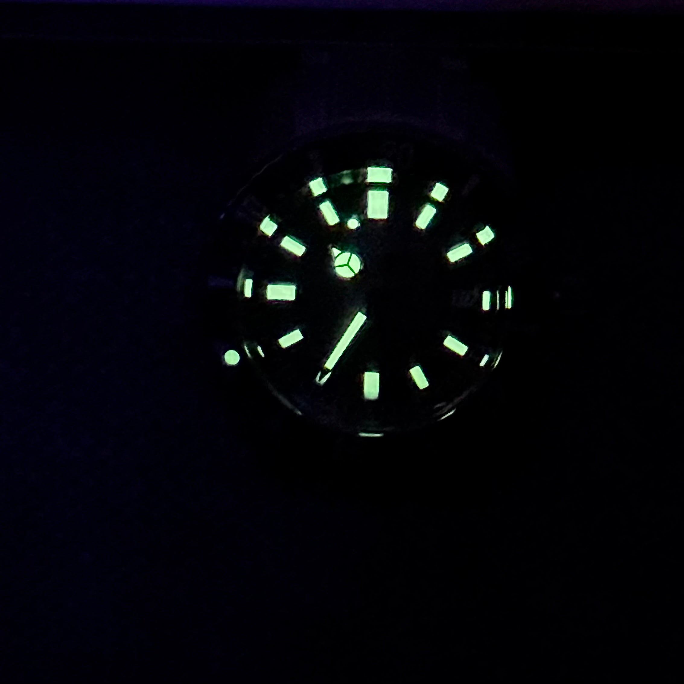 Citizen Promaster Fujitsubo Automatic Dive Watch (Like New)