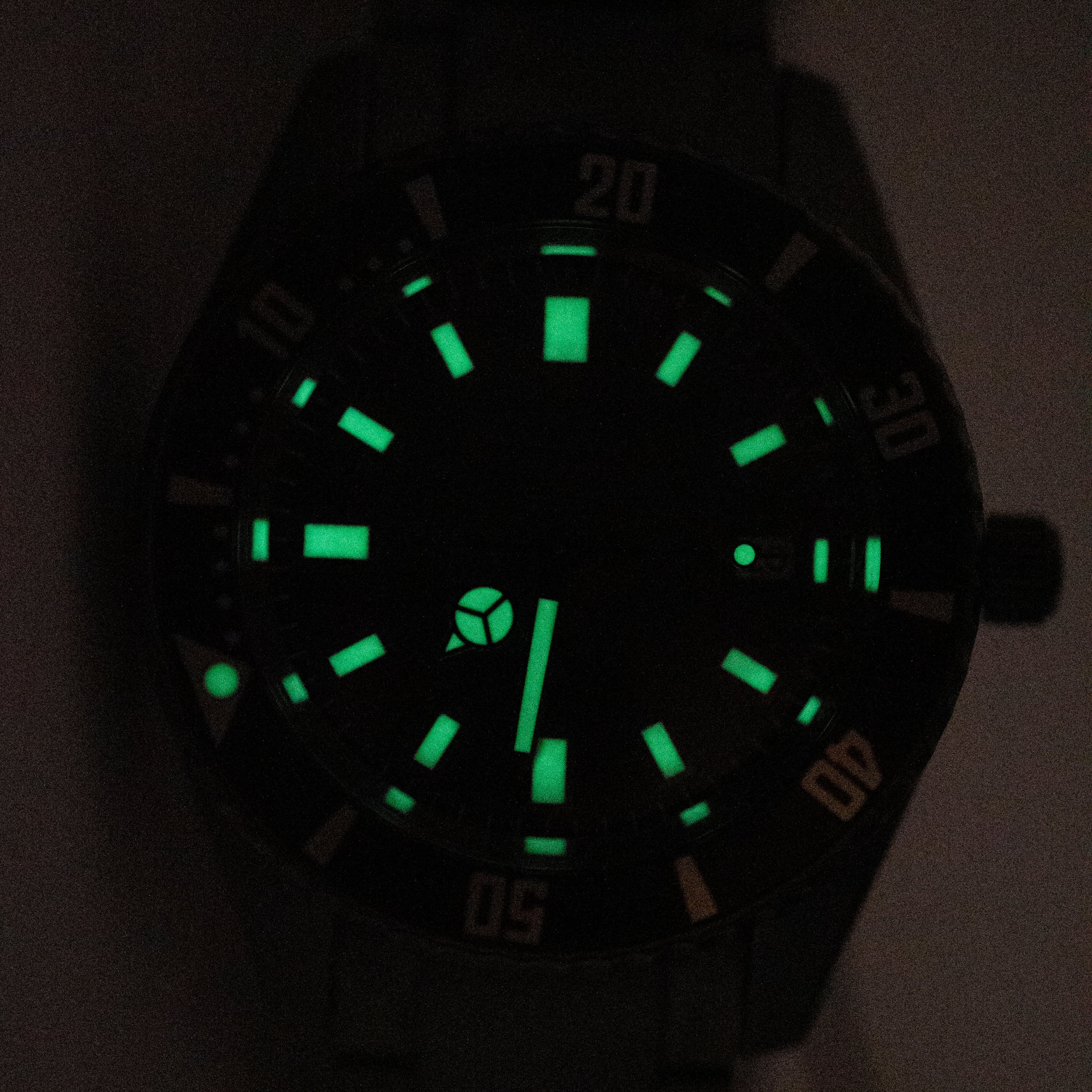 Citizen Promaster Fujitsubo Automatic Dive Watch (Like New)